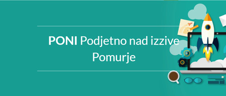 logo poni