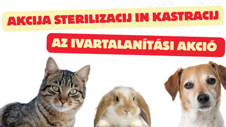 AKCIJA STERILIZACIJ IN KASTRACIJ  Az IVARTALANÍTÁSI AKCIÓ 