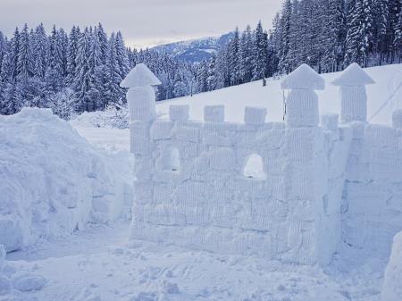 137541306_1740537996125948_6760944585651301567_o