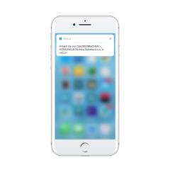 sauber_1_iphone7plussilver_portrait